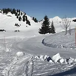 Les Chardons Argentes * Samoëns