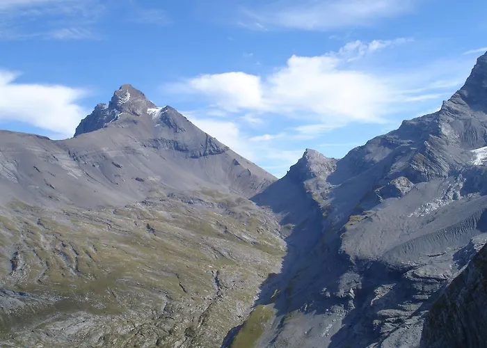 Les Chardons Argentes Daire Samoëns