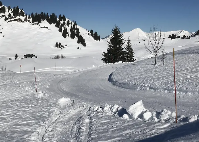 Les Chardons Argentes * Samoëns