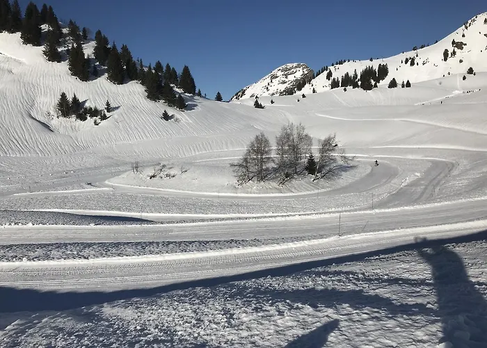Les Chardons Argentes Daire Samoëns