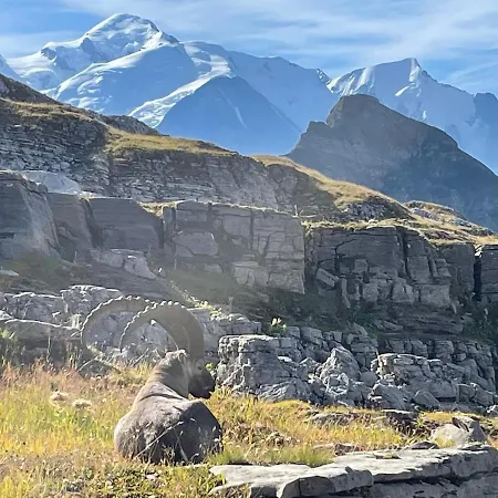 Apartment Les Chardons Argentes Samoens