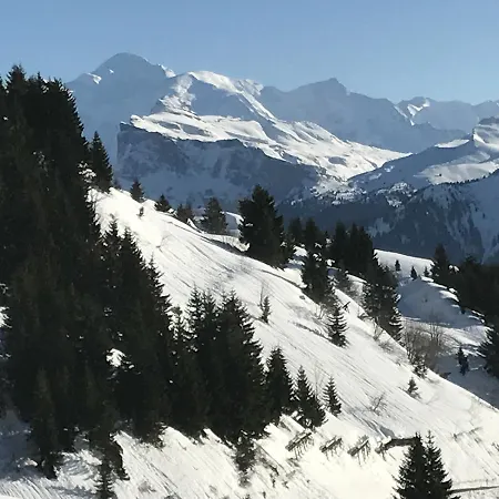 Les Chardons Argentes * Samoens