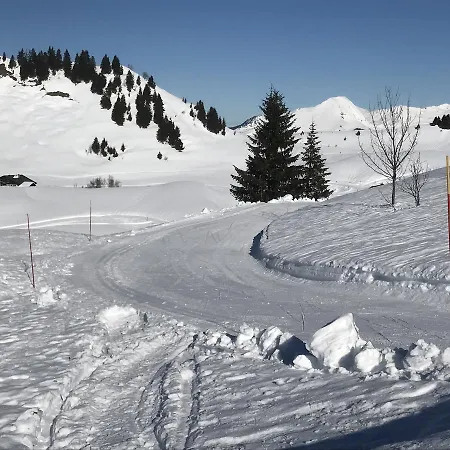 Les Chardons Argentes * Samoens